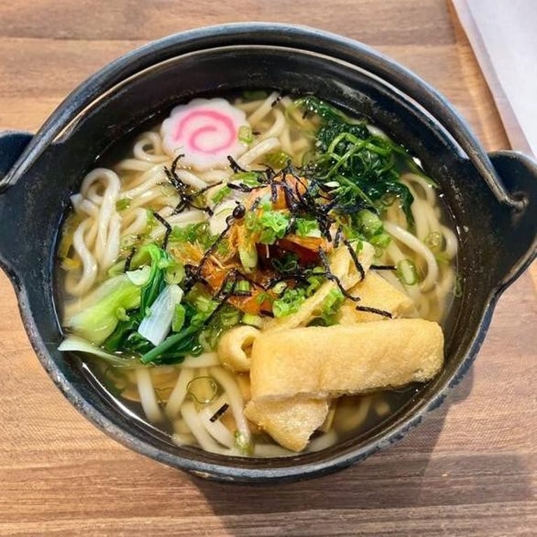 Udon Noodle Delights